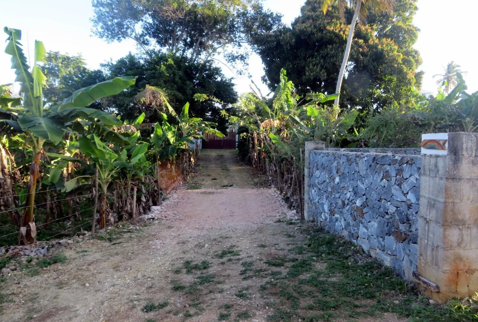 Casa Arcoiris Hotel Las Galeras Dominican Republic