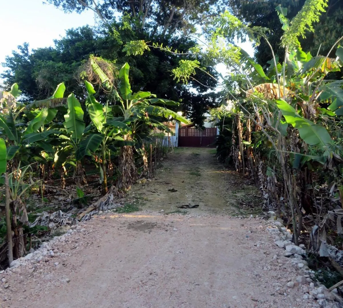 Guest house Casa Arcoiris Hotel Las Galeras